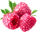 1479.gif