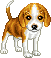 mini_gif_dog_by_mydreammagic-d6no9cx.gif