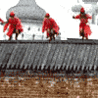 80_26.gif