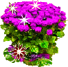1581.gif