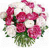 1531.gif