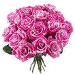 1534.gif