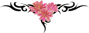 2062.gif