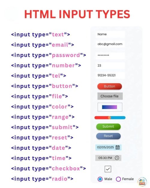 1000317893.jpg