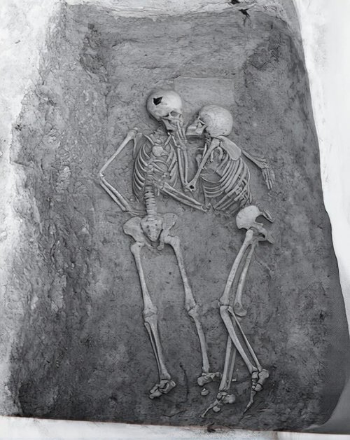 1000336654.jpg